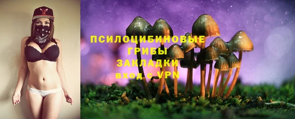 молекула духа Алзамай