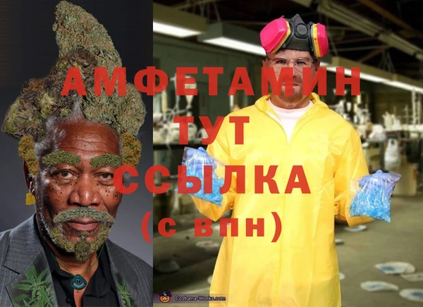 молекула духа Алзамай