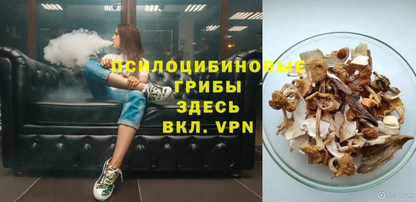 молекула духа Алзамай