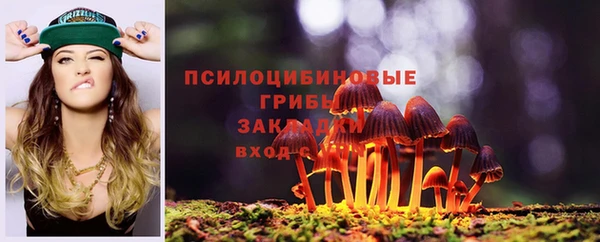гидра Алексеевка