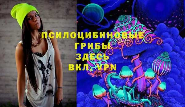 молекула духа Алзамай